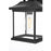 Elegant Lighting Saul 1Lt 13" Outdoor Sconce, Black/Clear/Clear