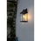 Elegant Lighting Saul 1Lt 16" Outdoor Sconce, Black/Clear/Clear