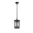 Elegant Lighting Harley 1Lt 7.5" Outdoor Pendant, Black/Clear/Clear - OD613H11BK
