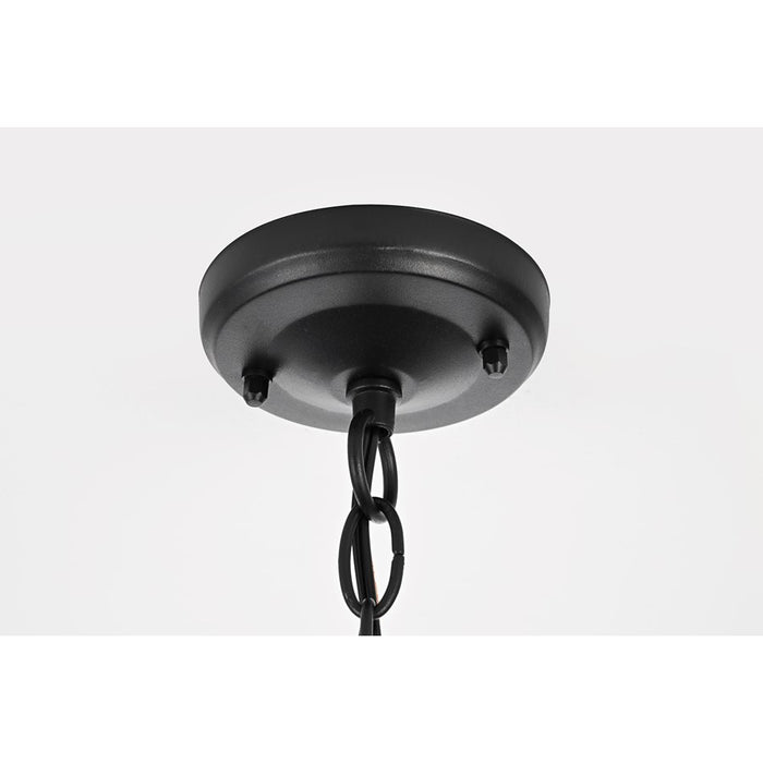 Elegant Lighting Harley 1Lt 7.5" Outdoor Pendant, Black/Clear/Clear