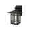 Elegant Lighting Harley 1Lt 10" Outdoor Sconce, Black/Clear/Clear