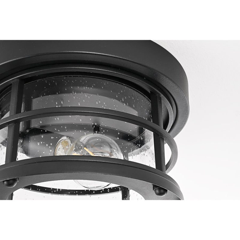 Elegant Lighting Carla 1Lt 10" Outdoor Flush, Black/Clear/Seed