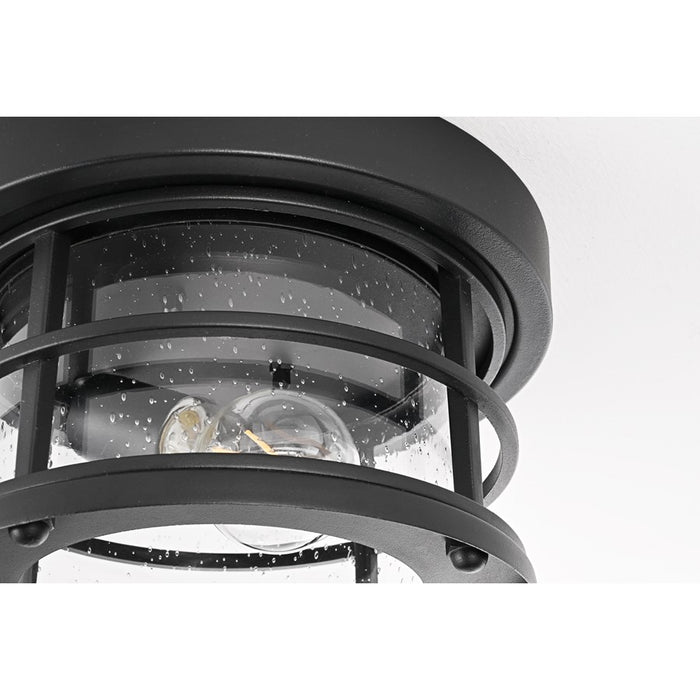 Elegant Lighting Carla 1Lt 10" Outdoor Flush, Black/Clear/Seed