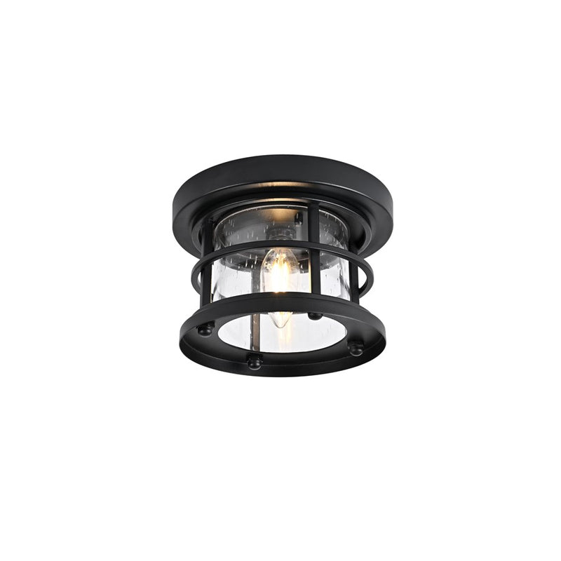 Elegant Lighting Carla 1Lt 8" Outdoor Flush Mount, Black/Clear/Seedy