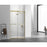 Elegant Hamilton Semi-Frameless Shower Door 48X76, Brushed Gold