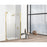 Elegant Carson Semi-Frameless Hinged Shower Door 48X72, Gold