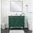 Elegant Kitchen/Bath Park Avenue 40" Single Bathroom Vanity, Green