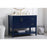 Elegant Kitchen/Bath Aubrey 42" Single Bathroom Vanity, Blue