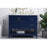 Elegant Aubrey 42" Single Bathroom Vanity, Blue/Backsplash