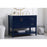 Elegant Aubrey 42" Single Bathroom Vanity, Blue/Backsplash