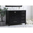Elegant Irene 42" Single Bathroom Vanity, Black/Backsplash