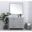 Elegant Irene 42" Single Bathroom Vanity, Gray/Backsplash
