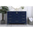 Elegant Kitchen/Bath Irene 48" Single Bathroom Vanity, Blue