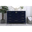 Elegant Irene 48" Single Bathroom Vanity, Blue/Backsplash