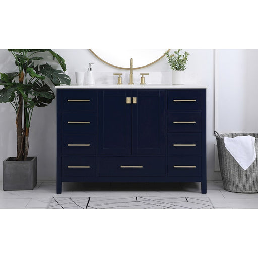 Elegant Irene 48" Single Bathroom Vanity, Blue/Backsplash