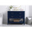 Elegant Sinclaire 42" Single Bathroom Vanity, Blue/Backsplash