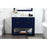 Elegant Larkin 42" Single Bathroom Vanity, Blue/Backsplash