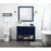 Elegant Larkin 42" Single Bathroom Vanity, Blue/Backsplash