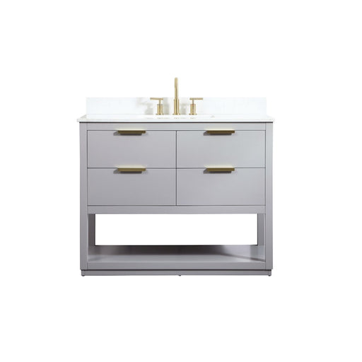 Elegant Larkin 42" Single Bathroom Vanity, Grey/Backsplash - VF19242GR-BS