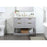 Elegant Larkin 42" Single Bathroom Vanity, Grey/Backsplash