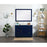 Elegant Kitchen/Bath Blake 48" Single Bathroom Vanity, Blue