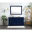 Elegant Blake 48" Single Bathroom Vanity, White/Backsplash