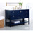 Elegant Kitchen/Bath Metropolis 48" Single Bathroom Vanity, Blue
