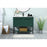 Elegant Sloane 40" Single Bathroom Vanity, Green/Backsplash