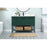 Elegant Sloane 48" Single Bathroom Vanity, Green/Backsplash