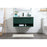Elegant Kitchen/Bath Roman 40" Single Bathroom Vanity, Green
