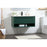 Elegant Roman 40" Single Bathroom Vanity, Green/Backsplash