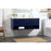 Elegant Roman 48" Single Bathroom Vanity, Blue/Backsplash