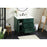 Elegant Kitchen/Bath Baldwin 36" Bathroom Vanity, Green