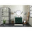 Elegant Kitchen/Bath Baldwin 36" Bathroom Vanity, Green
