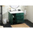 Elegant Baldwin 42" Bathroom Vanity, Green/Backsplash