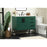 Elegant Eugene 36" Single Bathroom Vanity, Green/Backsplash