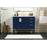 Elegant Kitchen/Bath Eugene 42" Single Bathroom Vanity, Blue