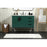Elegant Eugene 42" Single Bathroom Vanity, Green/Backsplash