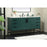 Elegant Kitchen/Bath Eugene 60" Single Bathroom Vanity, Green