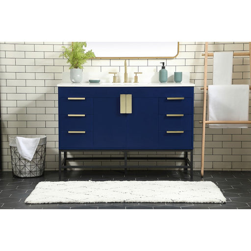Elegant Eugene 48" Single Bathroom Vanity, Blue/Backsplash