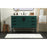 Elegant Kitchen/Bath Eugene 48" Single Bathroom Vanity, Green