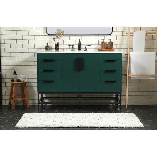 Elegant Kitchen/Bath Eugene 48" Single Bathroom Vanity, Green