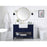 Elegant Clement 48" Single Bathroom Vanity, Black/Backsplash