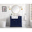 Elegant Franklin 36" Single Bathroom Vanity, Black/Backsplash