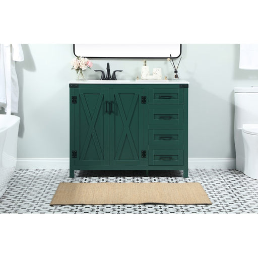 Elegant Kitchen/Bath Grant 42" Single Bathroom Vanity, Green