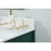 Elegant Grant 48" Single Bathroom Vanity, Green/Backsplash
