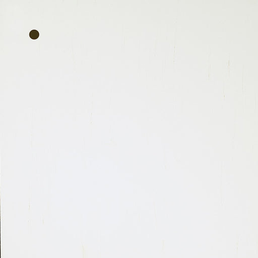Elegant Kitchen/Bath Wood Sample, Antique White - WD-101