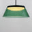 ET2 Lighting Jensen 1 Light 18" LED Pendant, Black/Green