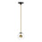 ET2 Lighting Nucleus LED Pendant, Black/Aged Brass