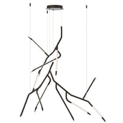 ET2 Lighting Scion 12 Light Multi-Light Pendant, Black - E25415-BK